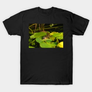 Gator Baby T-Shirt